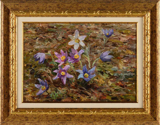 Белков Юрий Сергеевич. Первоцвет